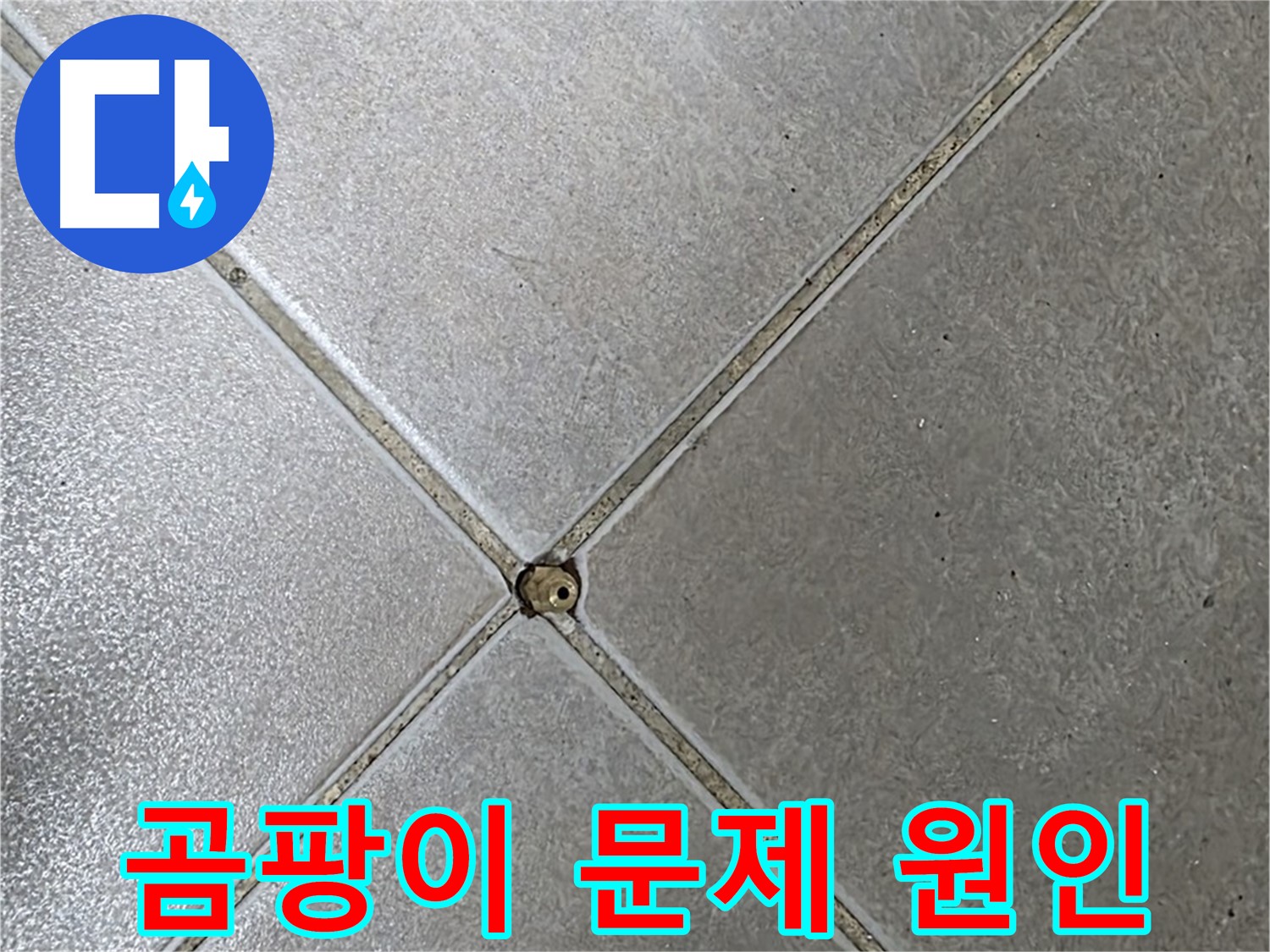 옥정 율정마을 아파트 타일 틈새 곰팡이 문제 - 누수 원인을 찾고 있습니다.