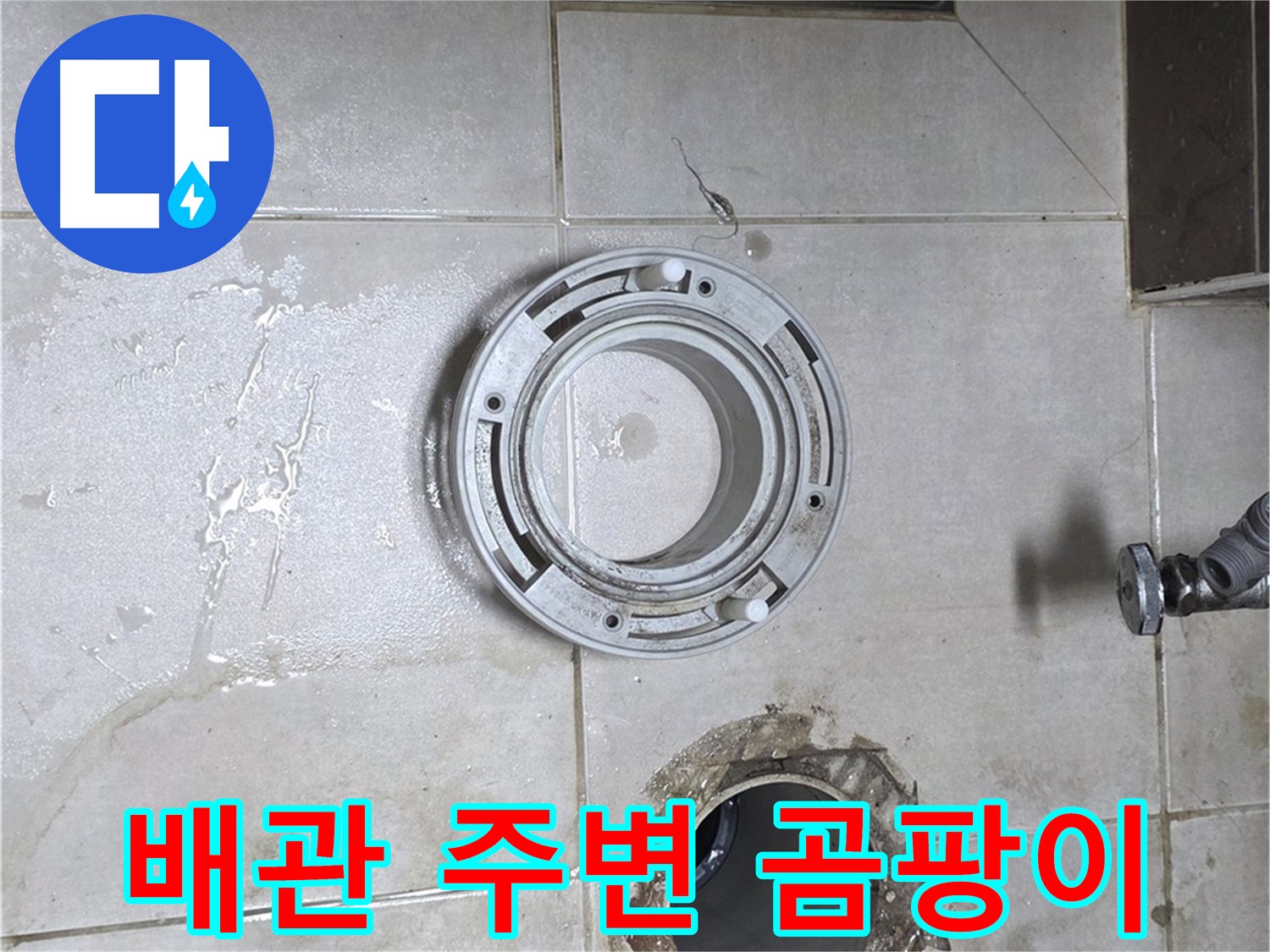옥정동 율정마을 아파트 변기 누수 - 배관 주변 곰팡이 상태 확인