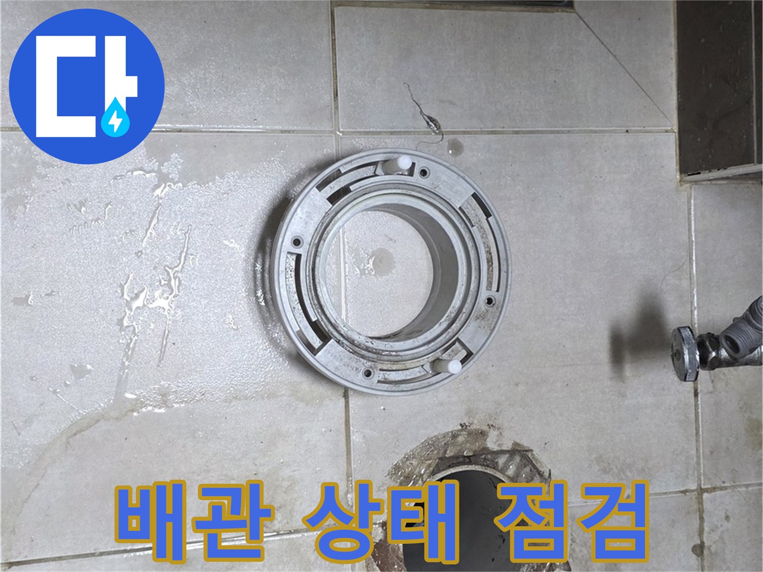 옥정동 율정마을 아파트 변기 하수구 - 배관 상태 꼼꼼하게 점검