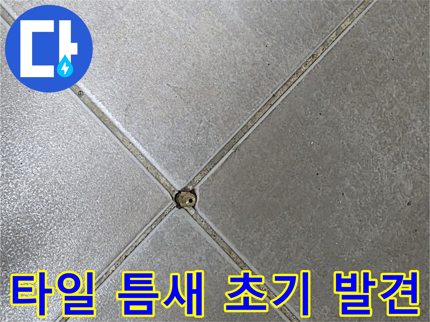 옥정동 율정마을 아파트 타일 틈새 누수 - 초기 발견 사진입니다.