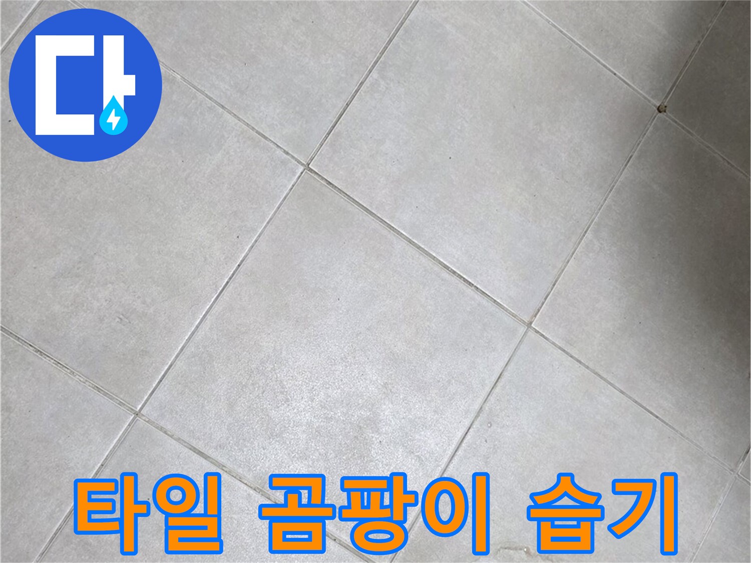 욕실 타일 곰팡이 - 지속적인 습기 & 누수 가능성