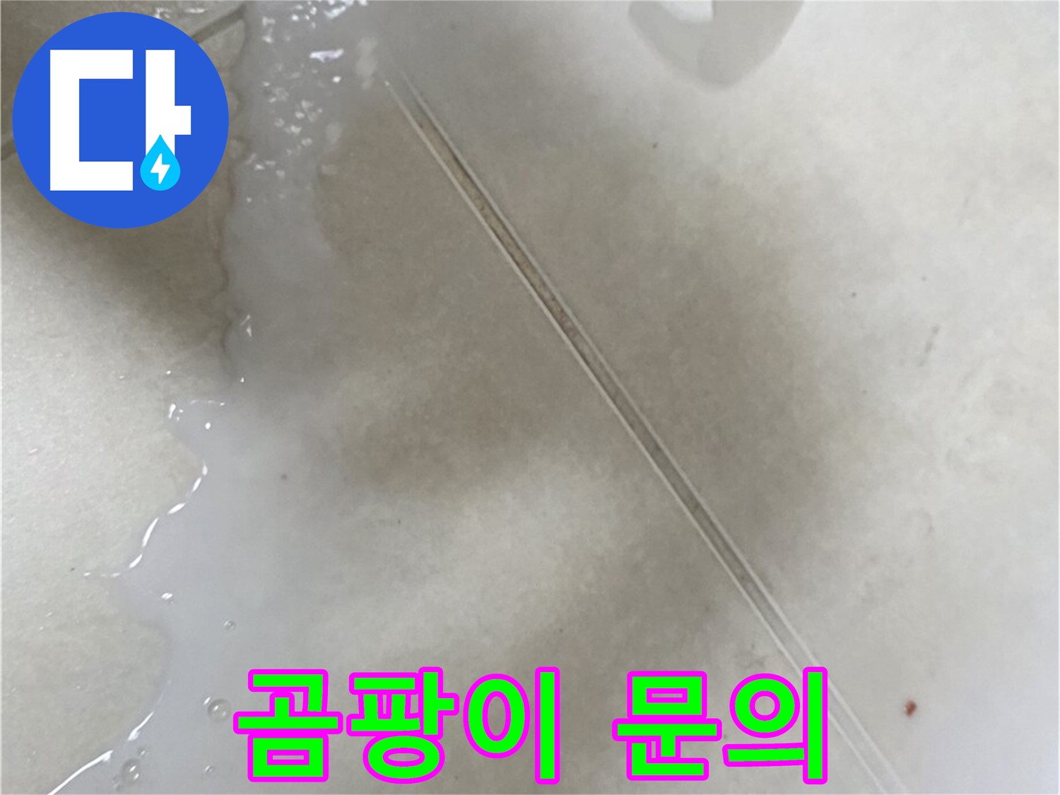율정마을 누수 - 곰팡이 방지 방수액 셀프 시공 후 곰팡이 발생 시 전문가에게!