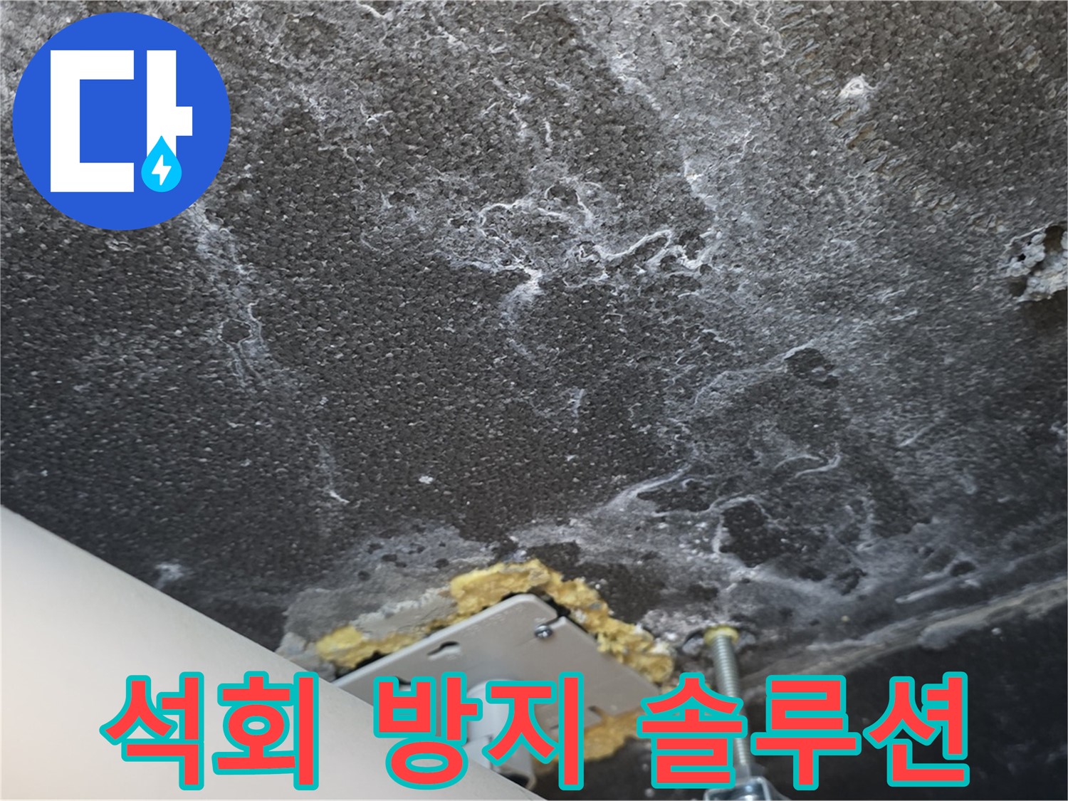 동패동 아파트 누수 - 천장 누수 석회 방지 맞춤 솔루션 제공