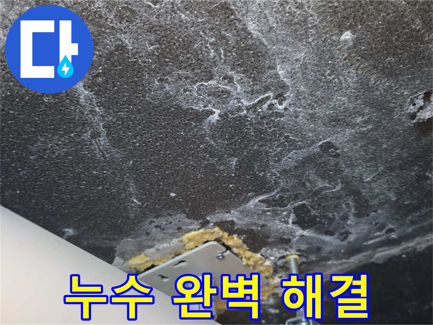 동패동 아파트 천장 누수 - 누수 문제 완벽 해결 완료