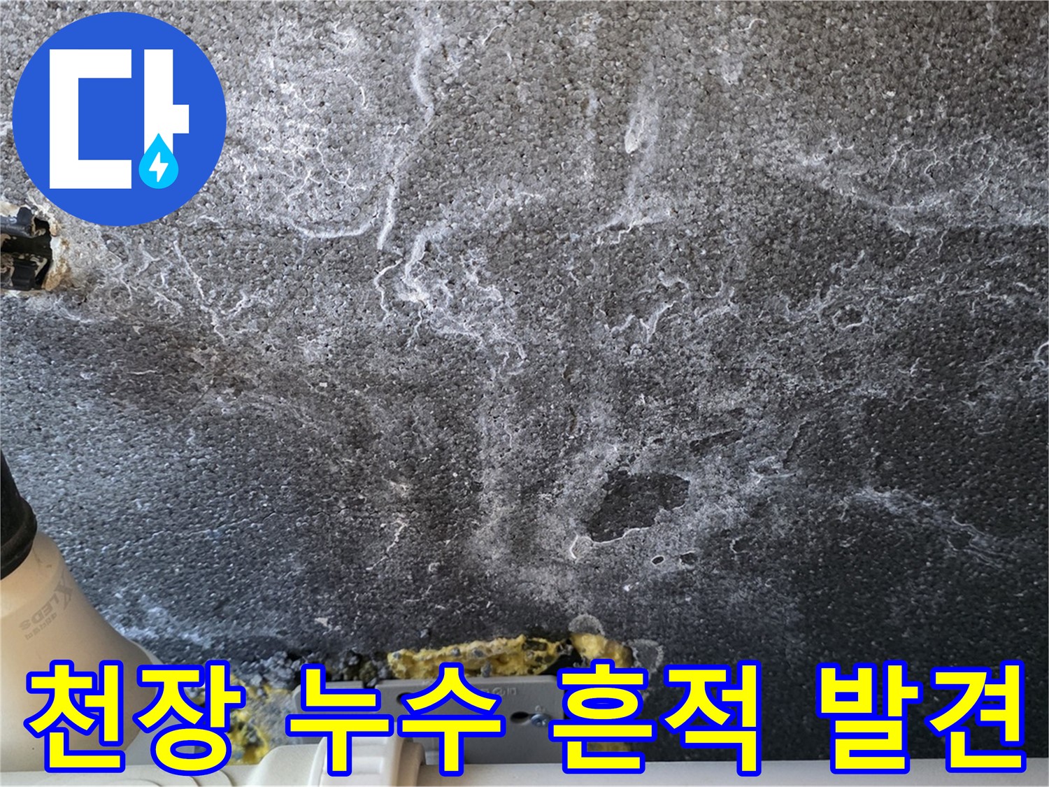 운정 어반프라임 천장 누수 흔적 - 누수 초기 발견의 중요성과 전문가의 진단 필요성