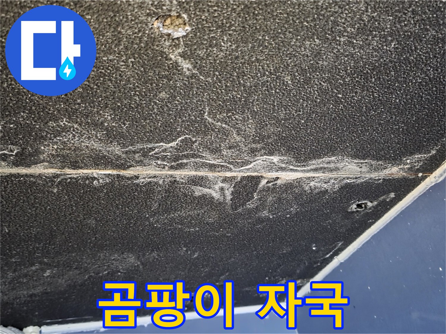 운정어반프라임 곰팡이 - 천장 석고보드 곰팡이 자국 확인