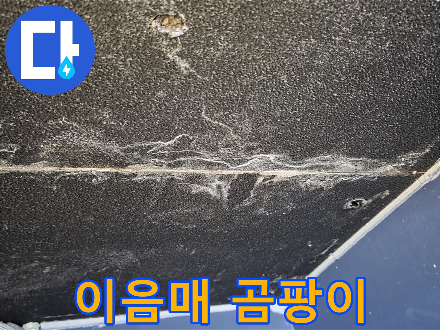 운정어반프라임 이음매 곰팡이 - 석고보드 이음매 곰팡이 발생