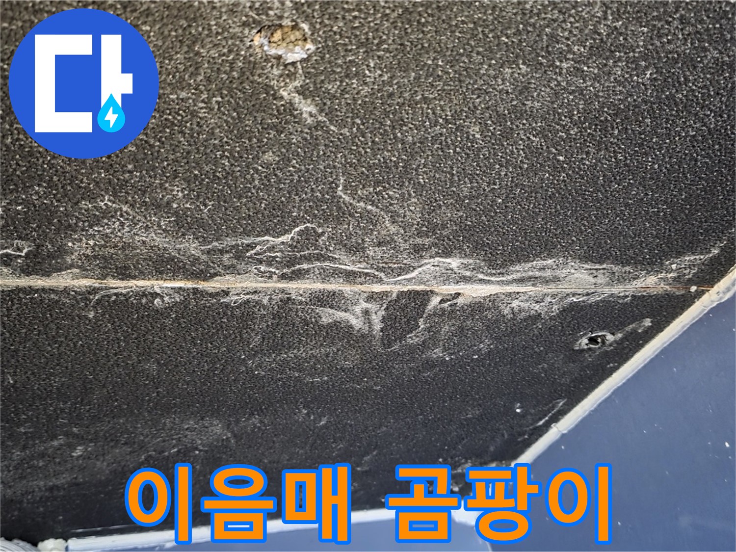 운정어반프라임 이음매 곰팡이 - 석고보드 이음매 곰팡이 발생