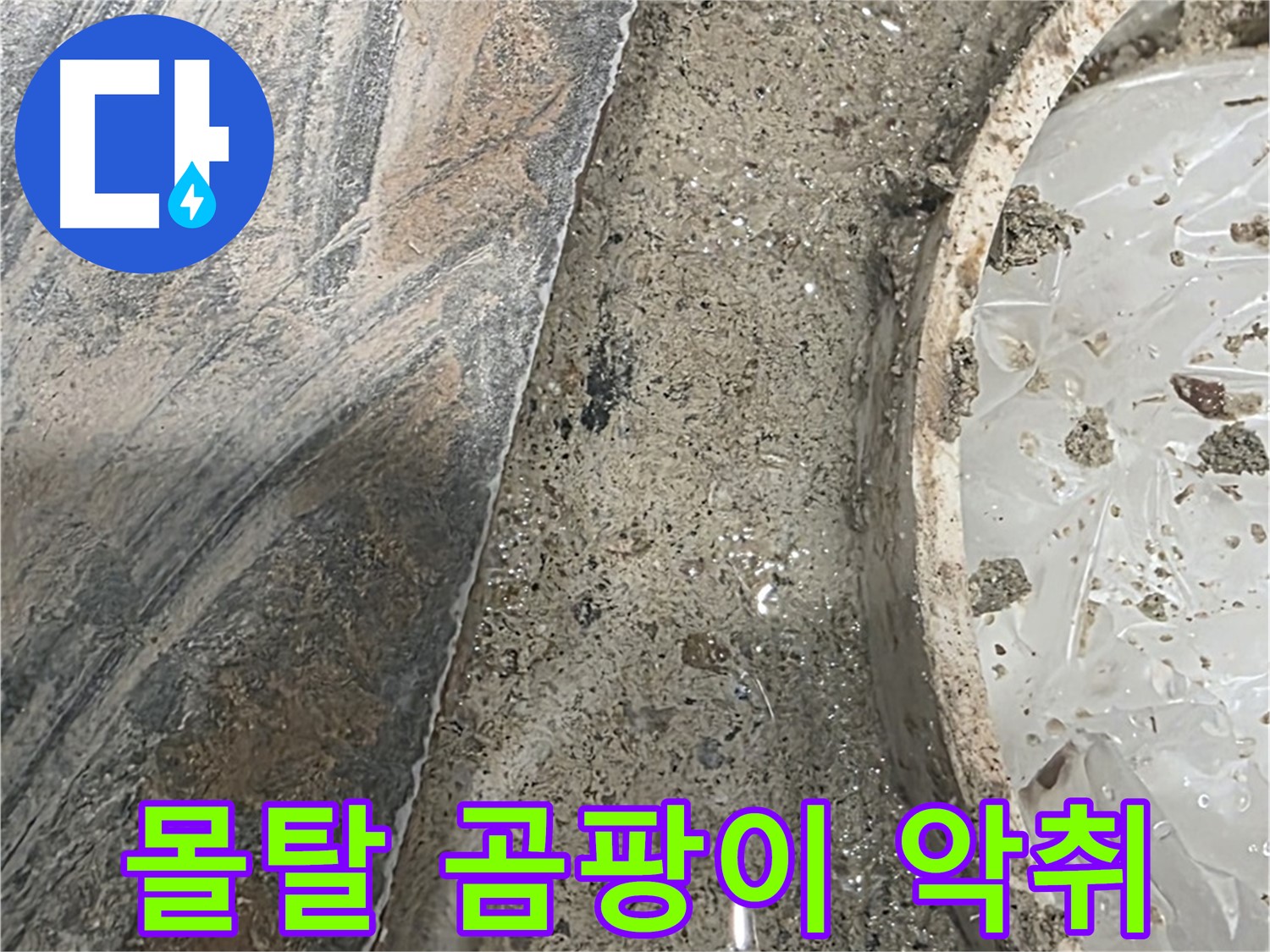 유가 주변 몰탈 곰팡이 - 악취 발생 - 건강 위협