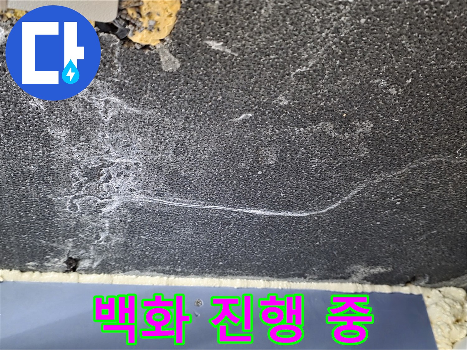 파주 동패동 아파트 천장 누수 - 백화 현상 진행 중, 누수 범위 파악