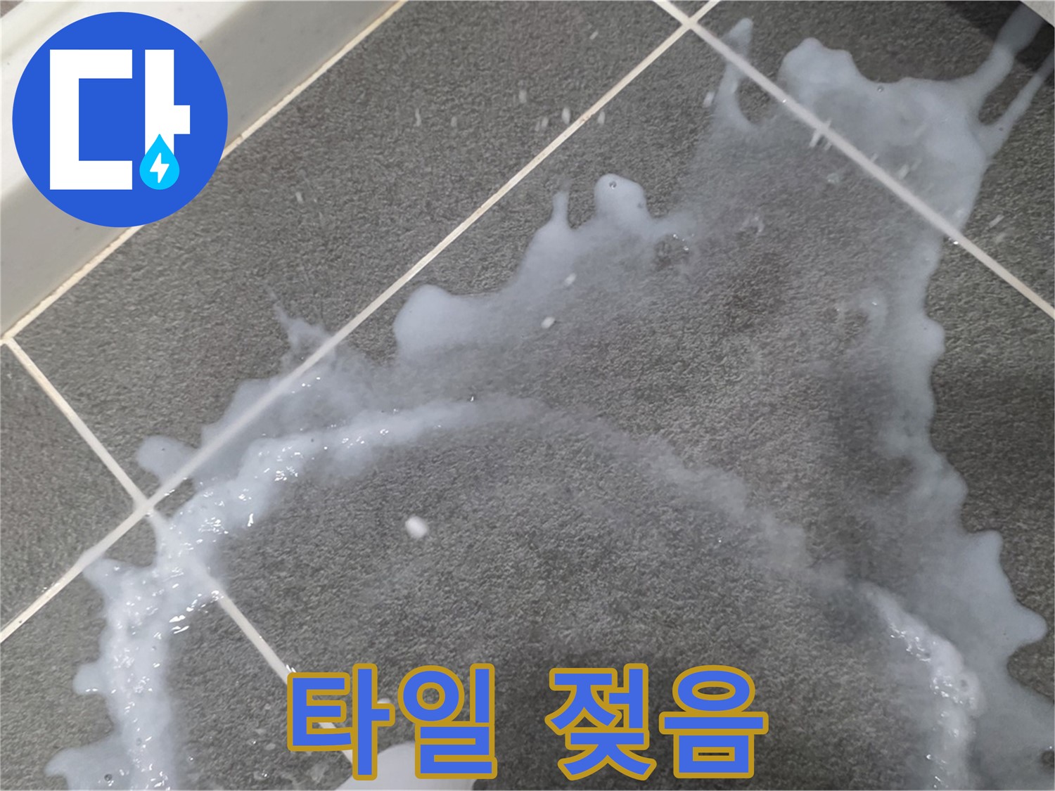 파주시 동패동 운정어반프라임 1201동 아파트 타일 젖음 - 누수탐지 전문 업체가 누수 진단과 꼼꼼한 시공으로 문제 해결