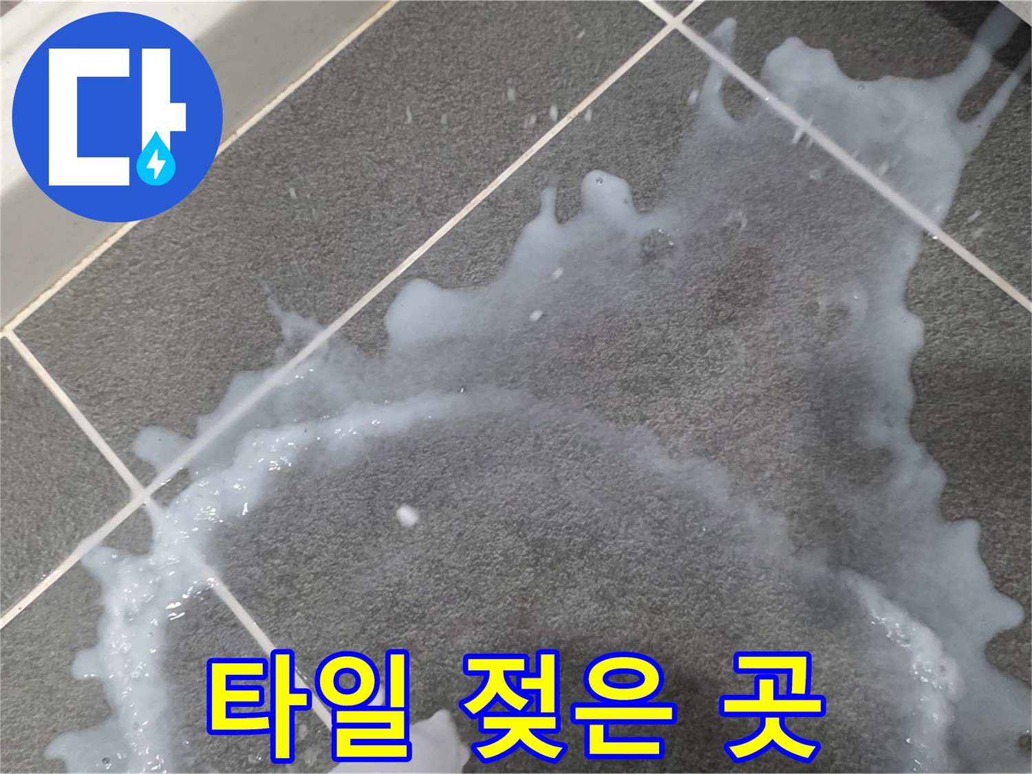 파주시 동패동 운정어반프라임 타일 젖은 곳 - 누수탐지 전문 업체가 초기 누수 진단과 책임감 있는 시공으로 문제를 해결합니다.