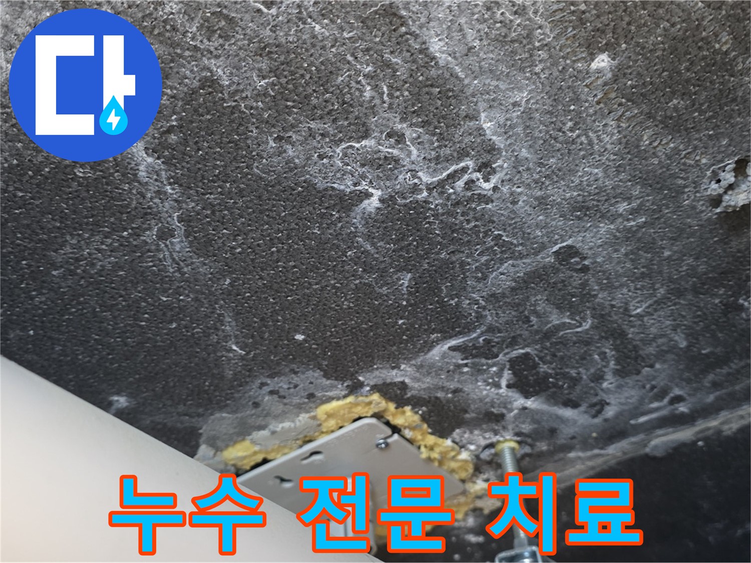 파주시 동패동 천장 누수 - 누수 클리닉 전문 치료