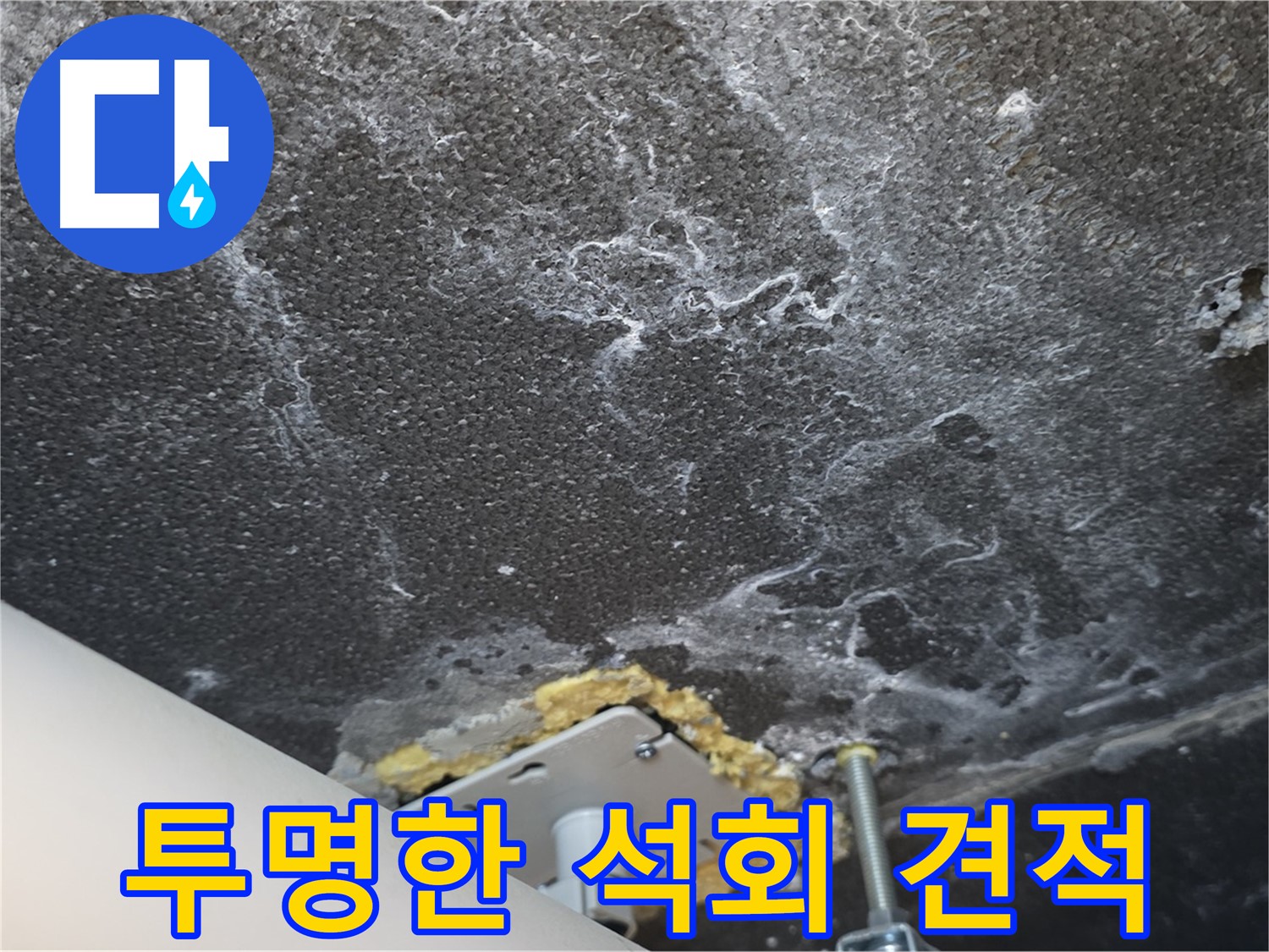 파주시 동패동 천장 누수 석회 - 투명하고 합리적인 견적 제공
