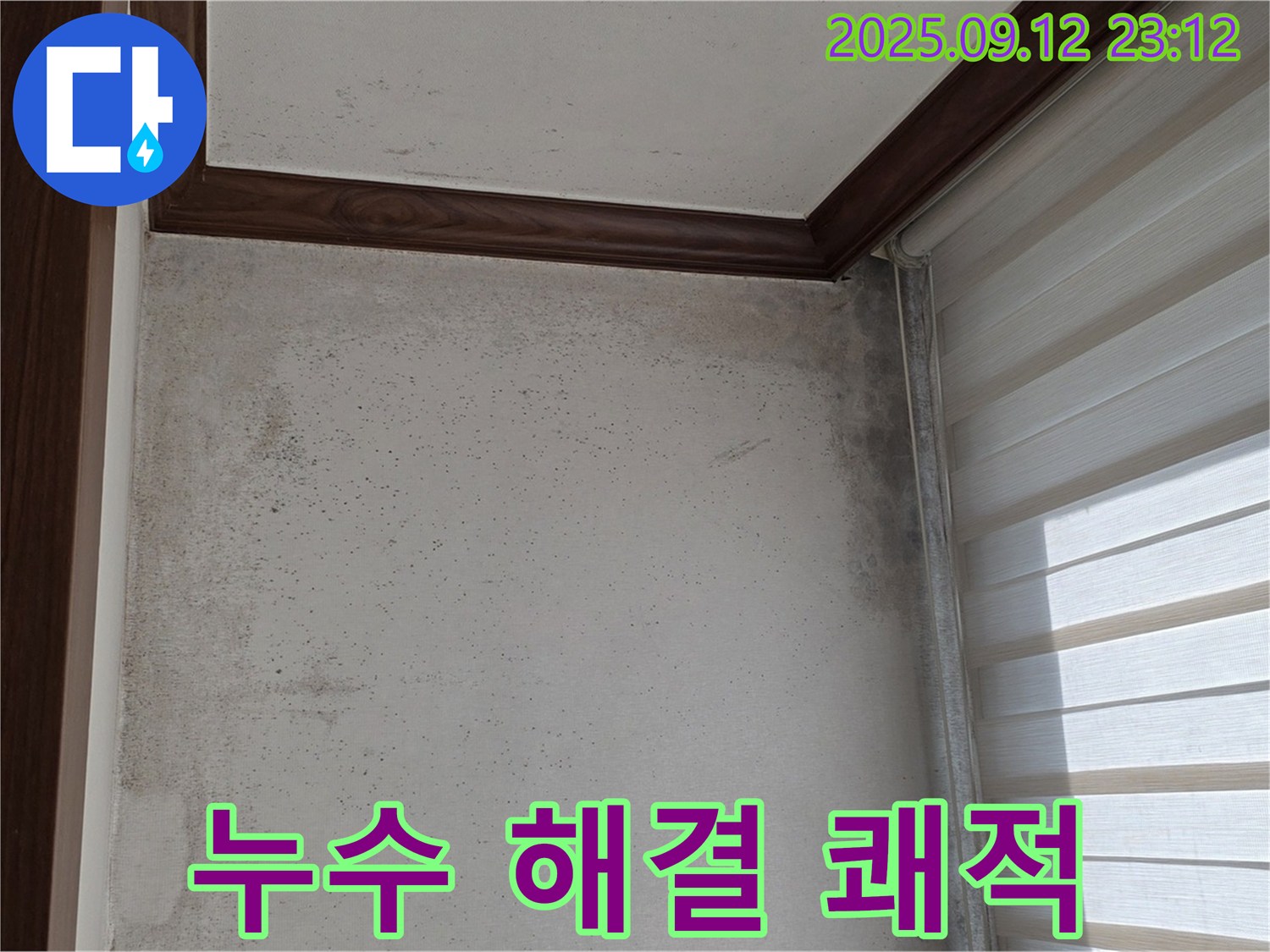 노원구 중계동 현대5차 211동 아파트 누수 현장 - 곰팡이와의 작별, 누수 해결로 쾌적한 보금자리를 만들어 드리겠습니다!