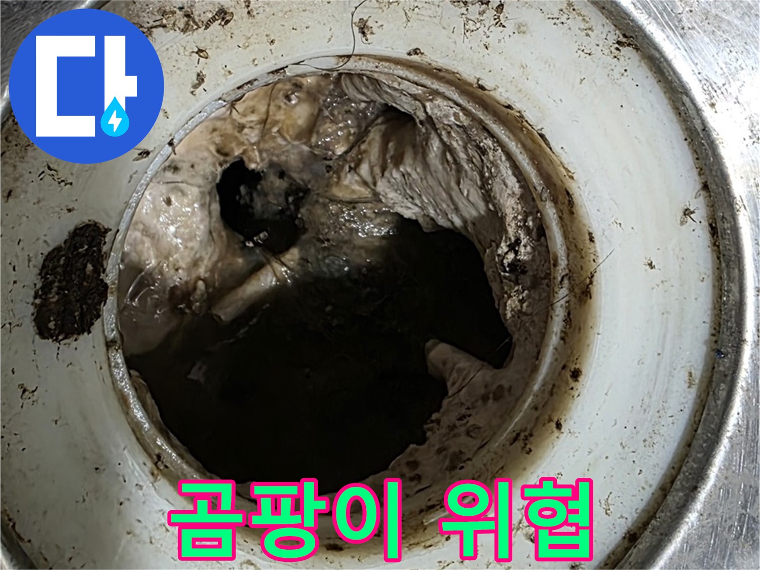 중계동 현대5차 211동 누수 원인 - 배수구 속 곰팡이가 건강 위협