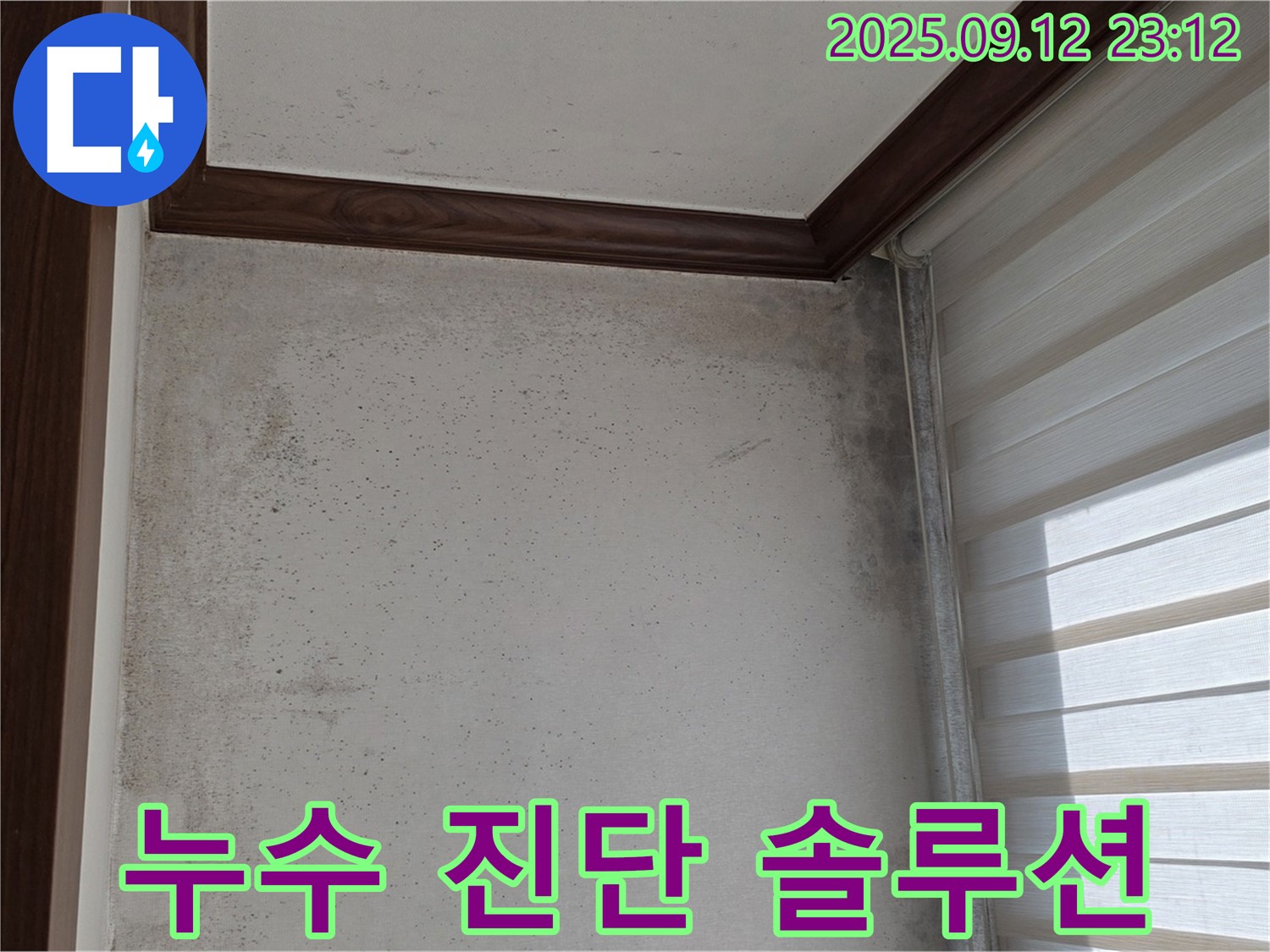 중계동 현대5차 211동 아파트 누수 현장 - 곰팡이 공포에서 벗어나 누수 진단을 위한 완벽한 솔루션을 제공합니다.