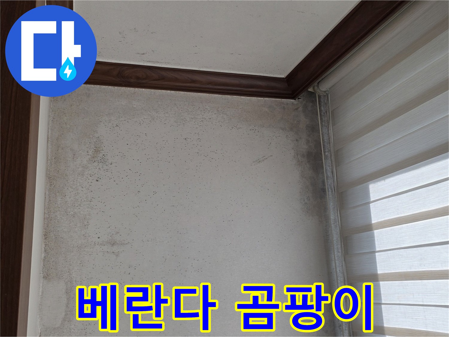 중계동 현대5차 베란다 곰팡이 - 누수 원인 파악 및 곰팡이 제거 시공