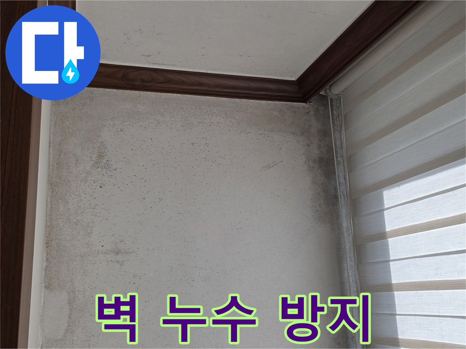 중계동 현대5차 벽 누수 - 전문적인 누수 방지 시공으로 재발 방지