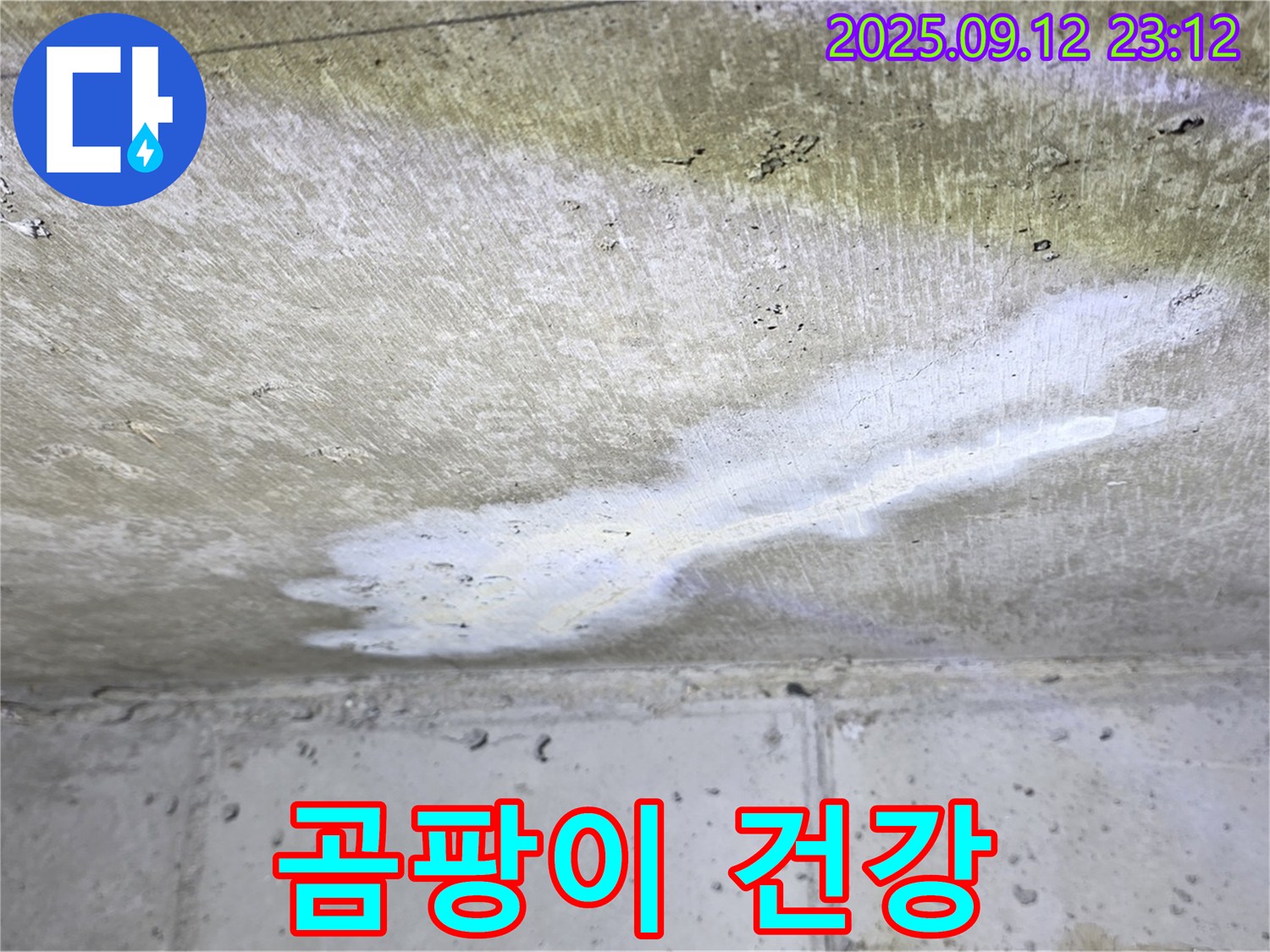 중계동 현대5차 아파트 누수 - 콘크리트 곰팡이 - 가족 건강 적신호 - 긴급 점검