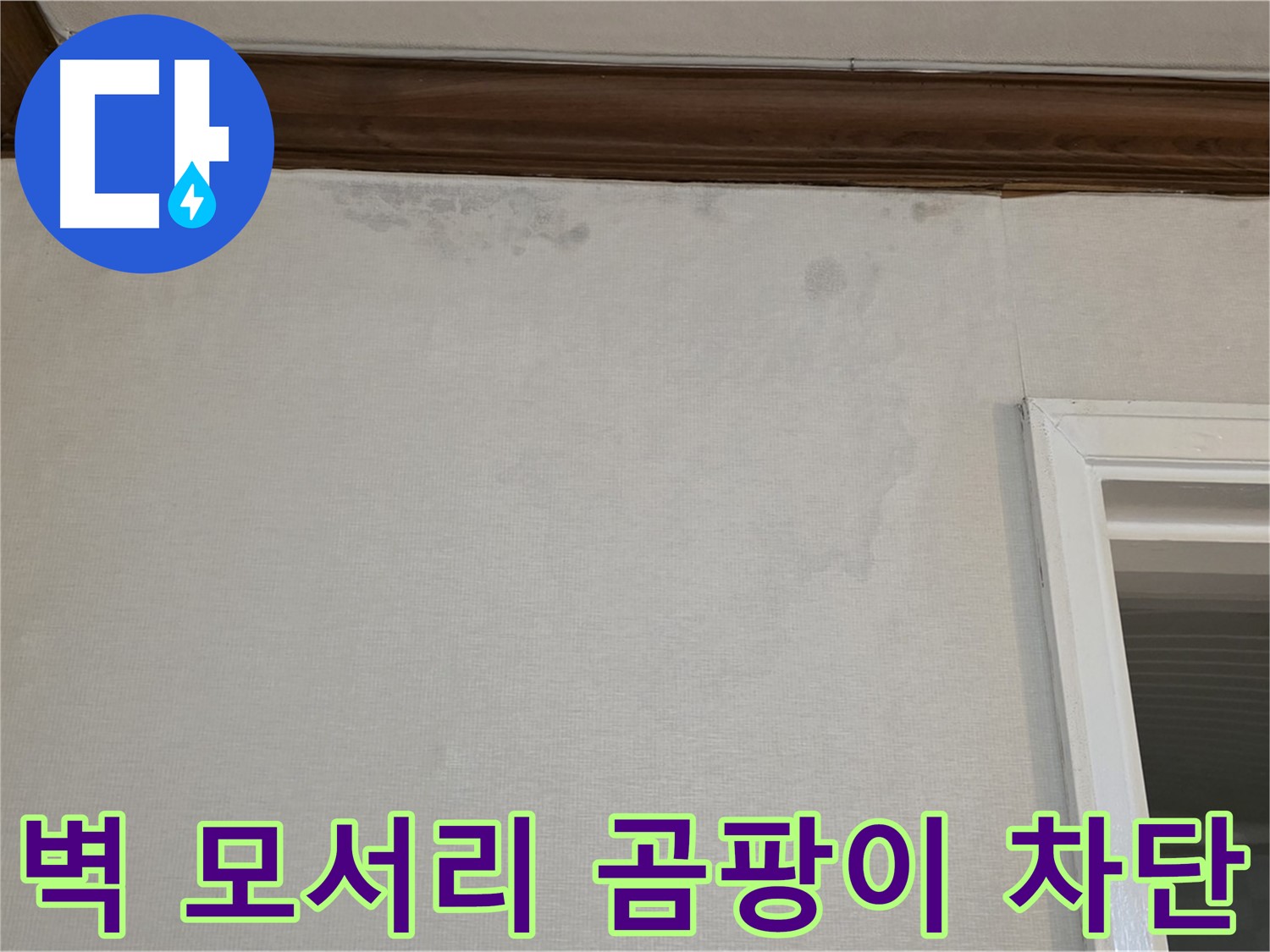 중계동 현대5차 아파트 벽 모서리 곰팡이 - 완벽한 누수 차단 공사