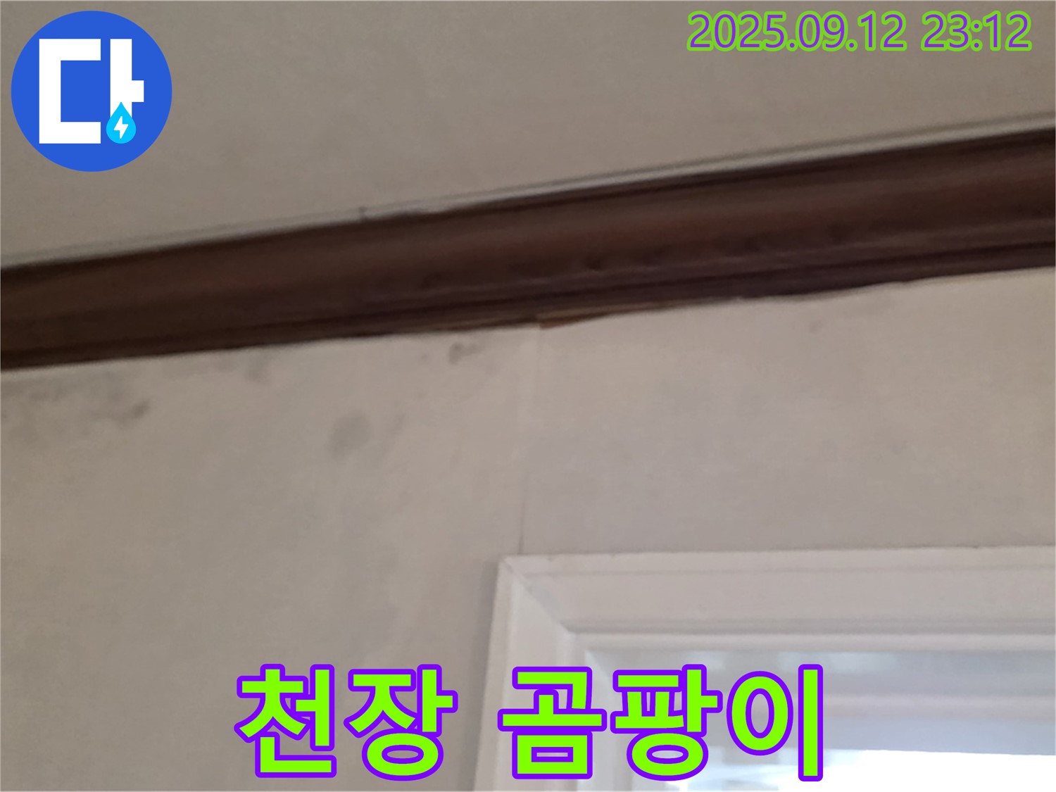중계동 현대5차 아파트 천장 누수 - 곰팡이 발생으로 인한 피해