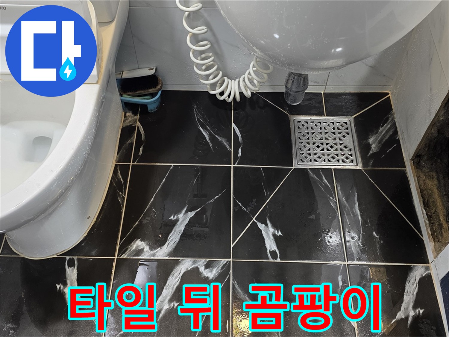 중계동 현대5차 욕실 벽 타일 뒤 곰팡이 - 심각한 누수 증거