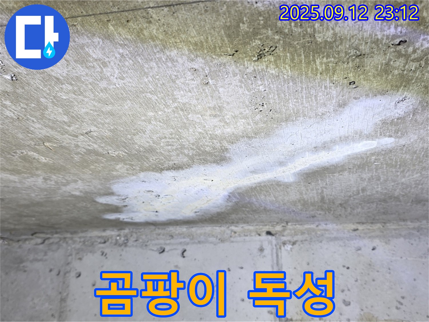 중계동1동 현대5차 아파트 누수 - 곰팡이 독성 - 온 가족 건강 위협