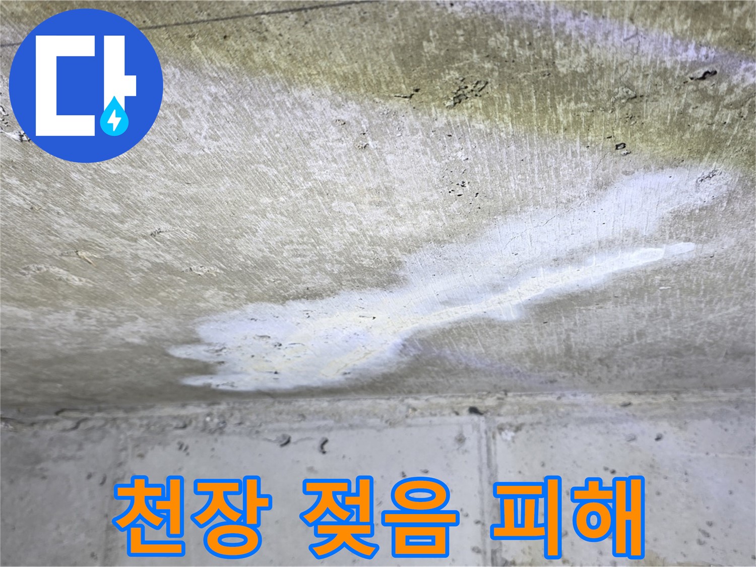 현대5차 211동 천장 누수 - 젖음 - 2차 피해 우려