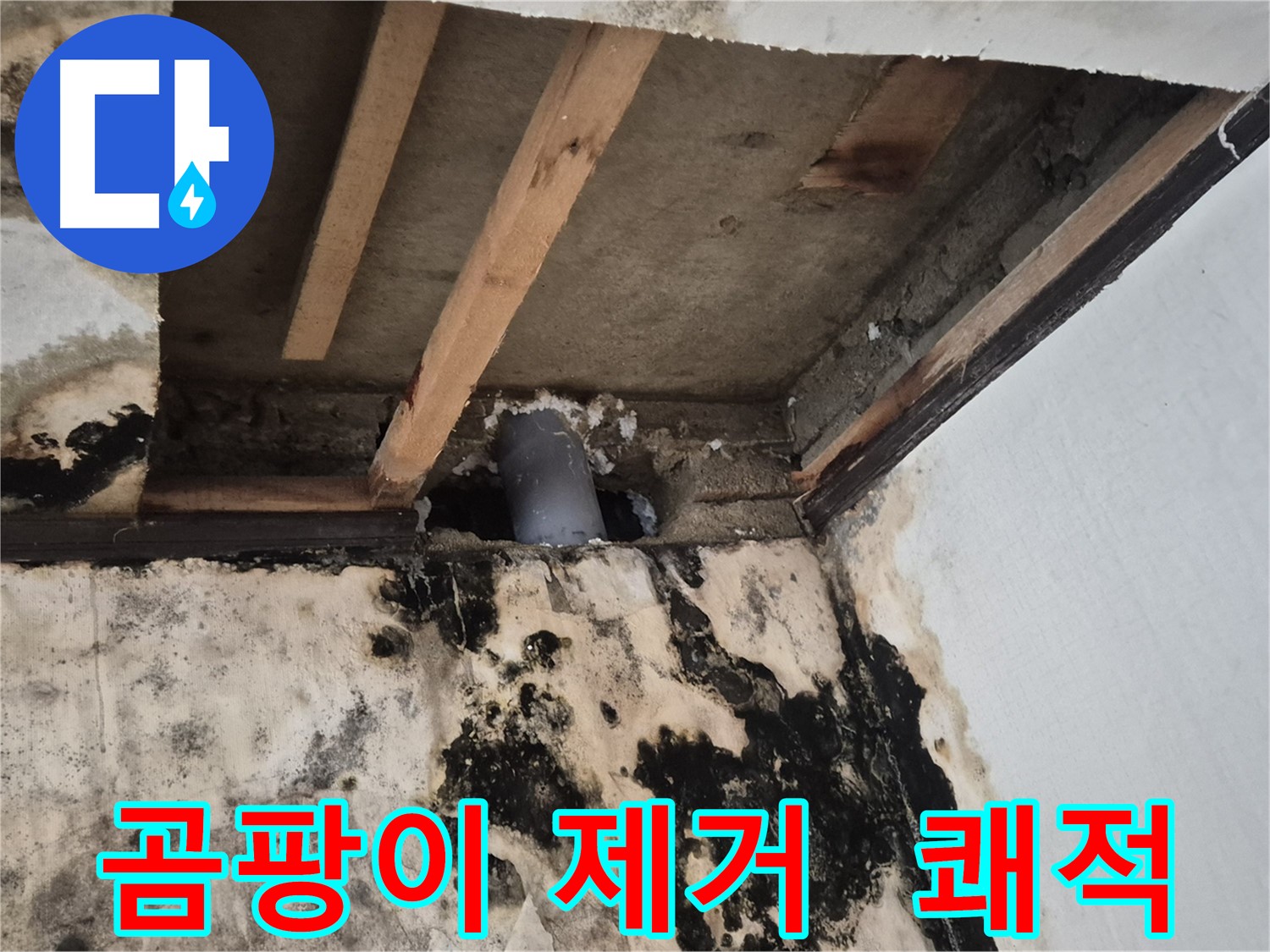 곰팡이 제거 및 쾌적한 공간 조성 - 누수 문제 해결 후 깨끗한 환경