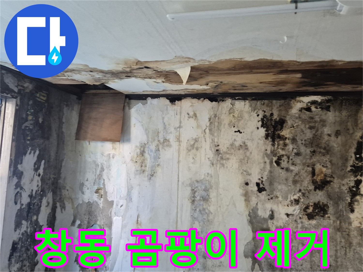 창동 주택의 곰팡이 문제 해결 과정 - 누수 원인 진단부터 곰팡이 제거, 완벽한 시공까지 담았습니다.