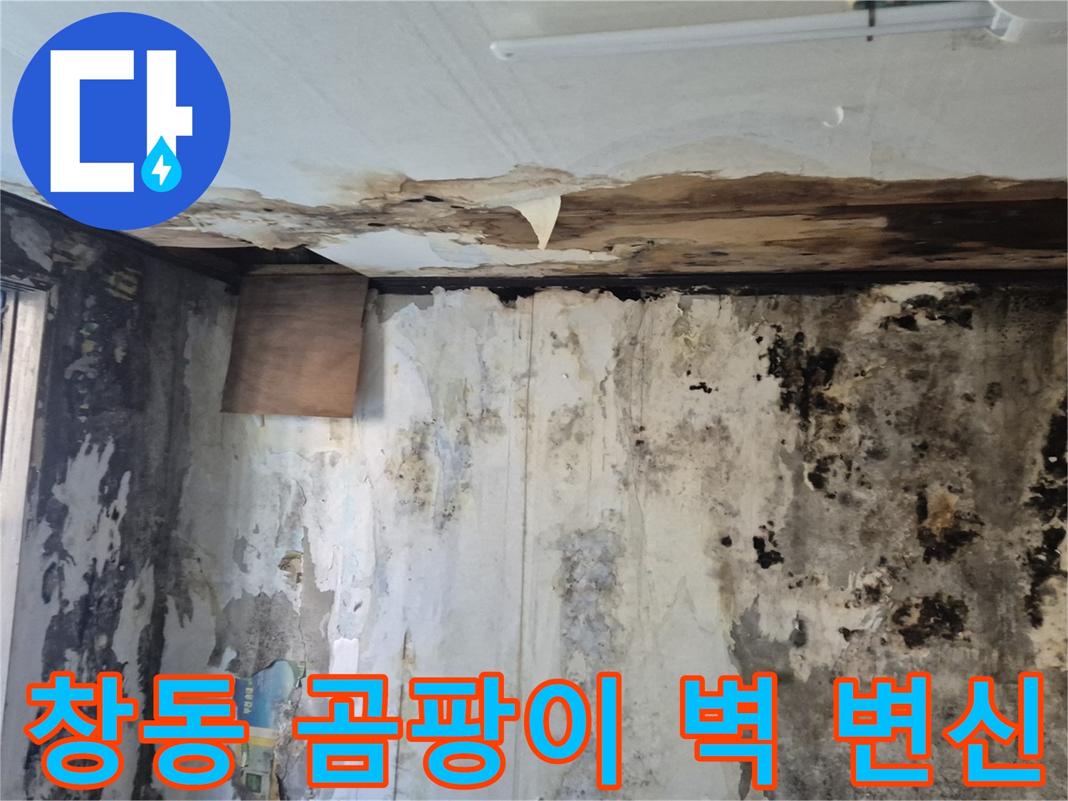 창동 주택의 곰팡이 핀 벽면 - 누수 해결과 함께 새롭게 변신한 모습입니다.