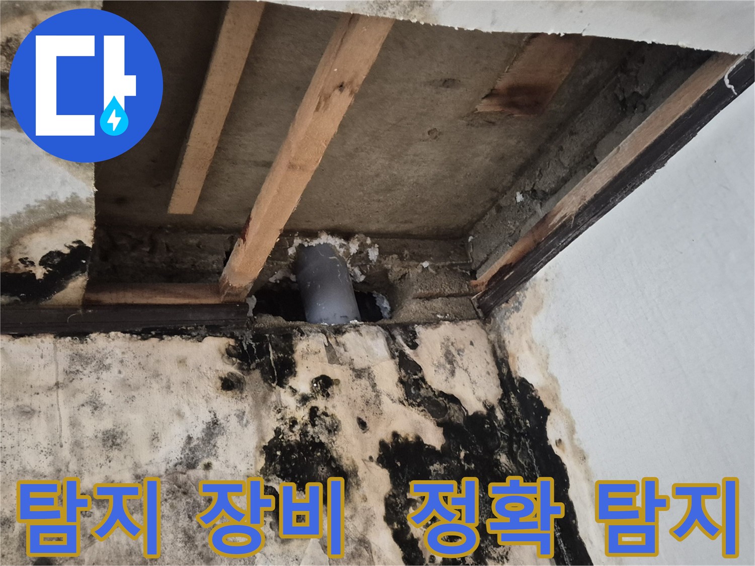 최첨단 누수 탐지 장비 - 정확한 누수 지점 탐색