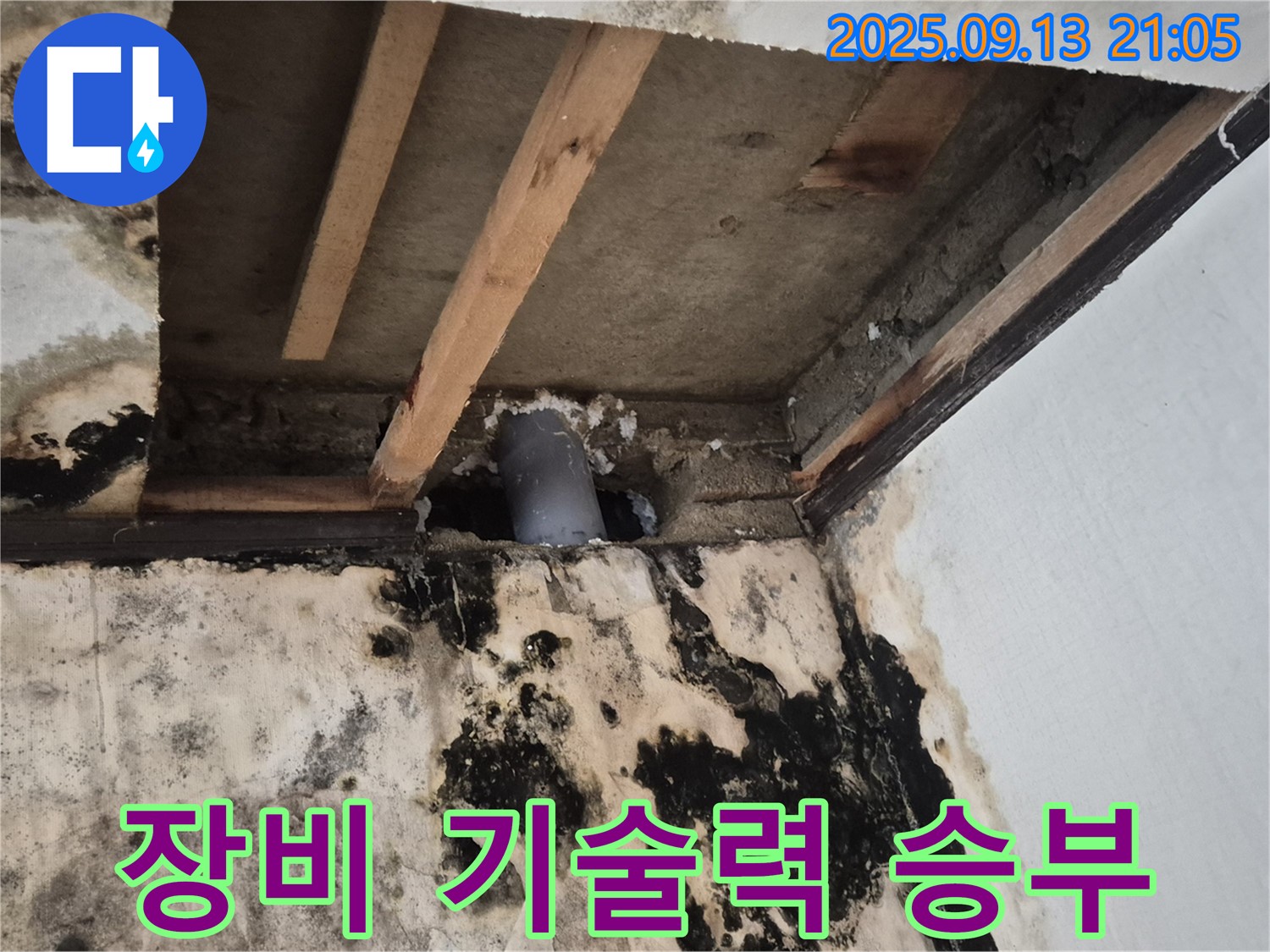 최첨단 장비와 숙련된 기술력으로 곰팡이 벽 해결 - 도봉구