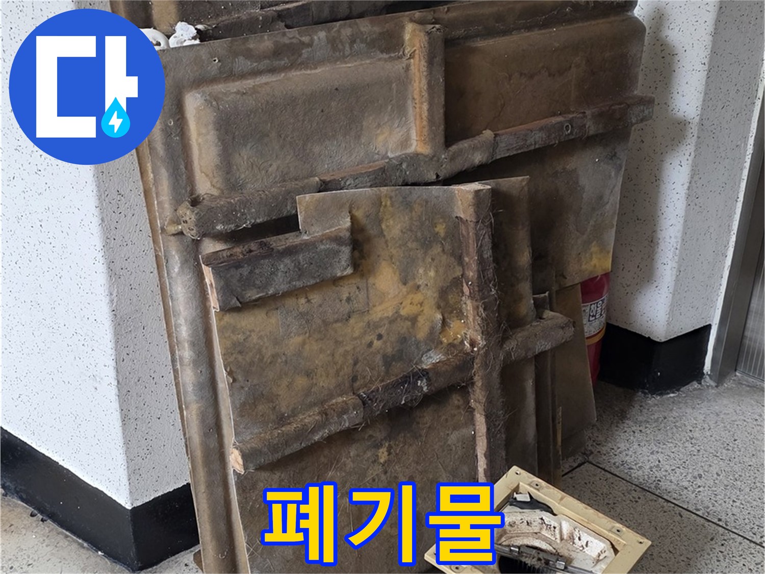 곰팡이 슨 석고보드와 조명 - 빠른 폐기만이 답