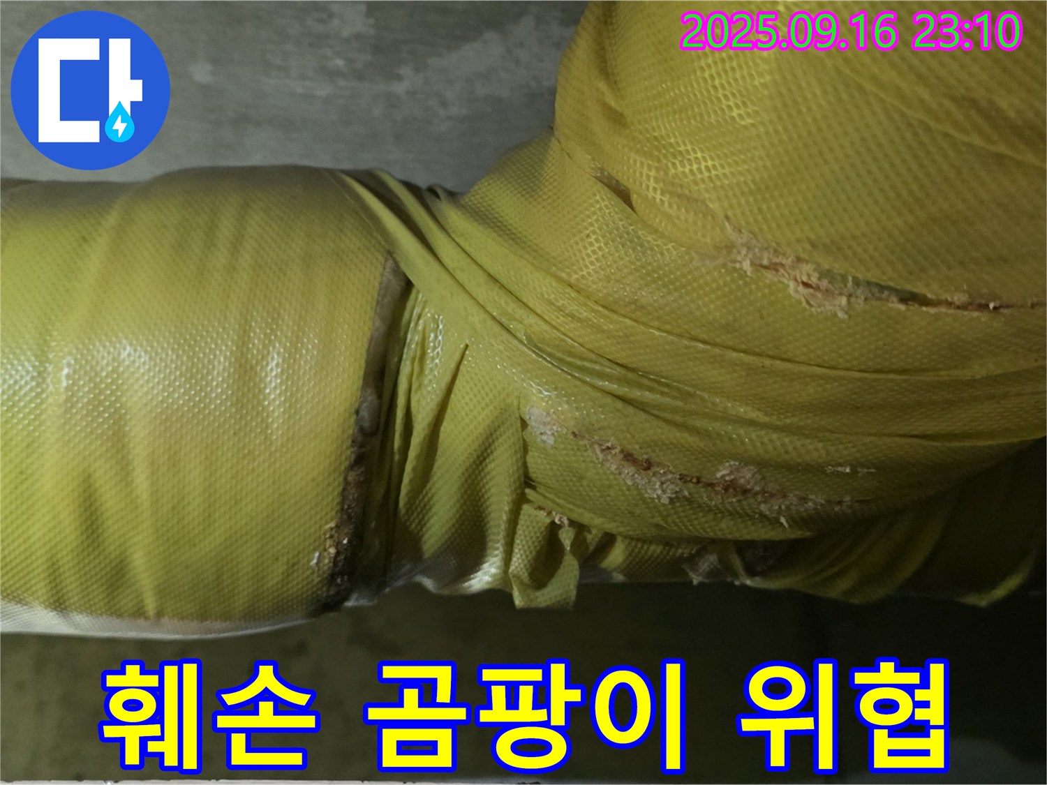 배관 보온재 훼손 부위에서 곰팡이 발생 우려가 있음을 보여줍니다 - 건강에 해로울 수 있습니다.