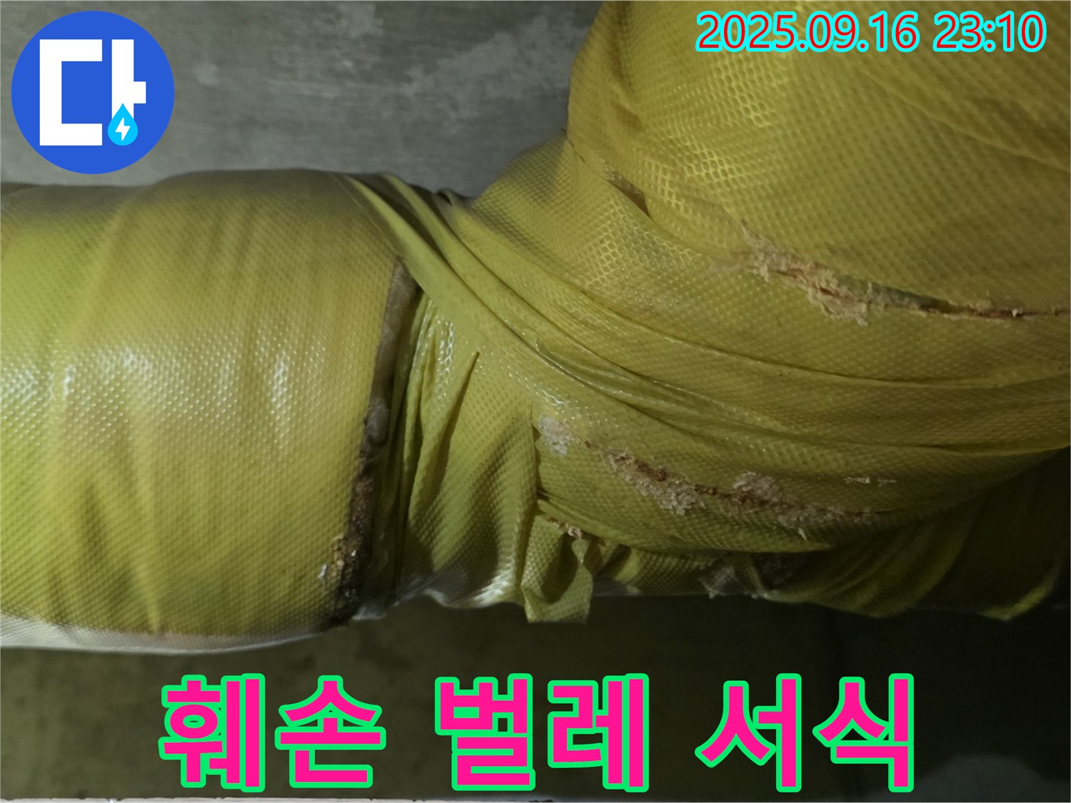 배관 보온재 훼손 부위에서 벌레 서식 가능성을 확인하는 모습입니다 - 위생 문제 발생 우려.