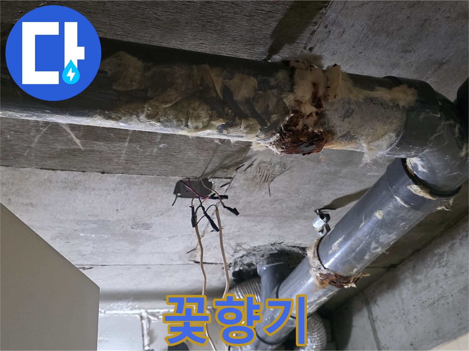 새절역 누수 - 오수 배관 부식과 곰팡이 냄새 제거 - 향긋한 꽃향기