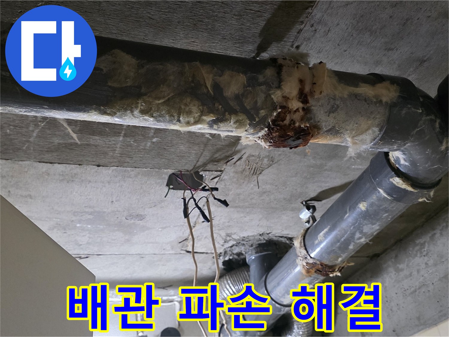새절역 현대아파트 누수 - 오수 배관 파손 긴급 누수 해결 및 피해 방지