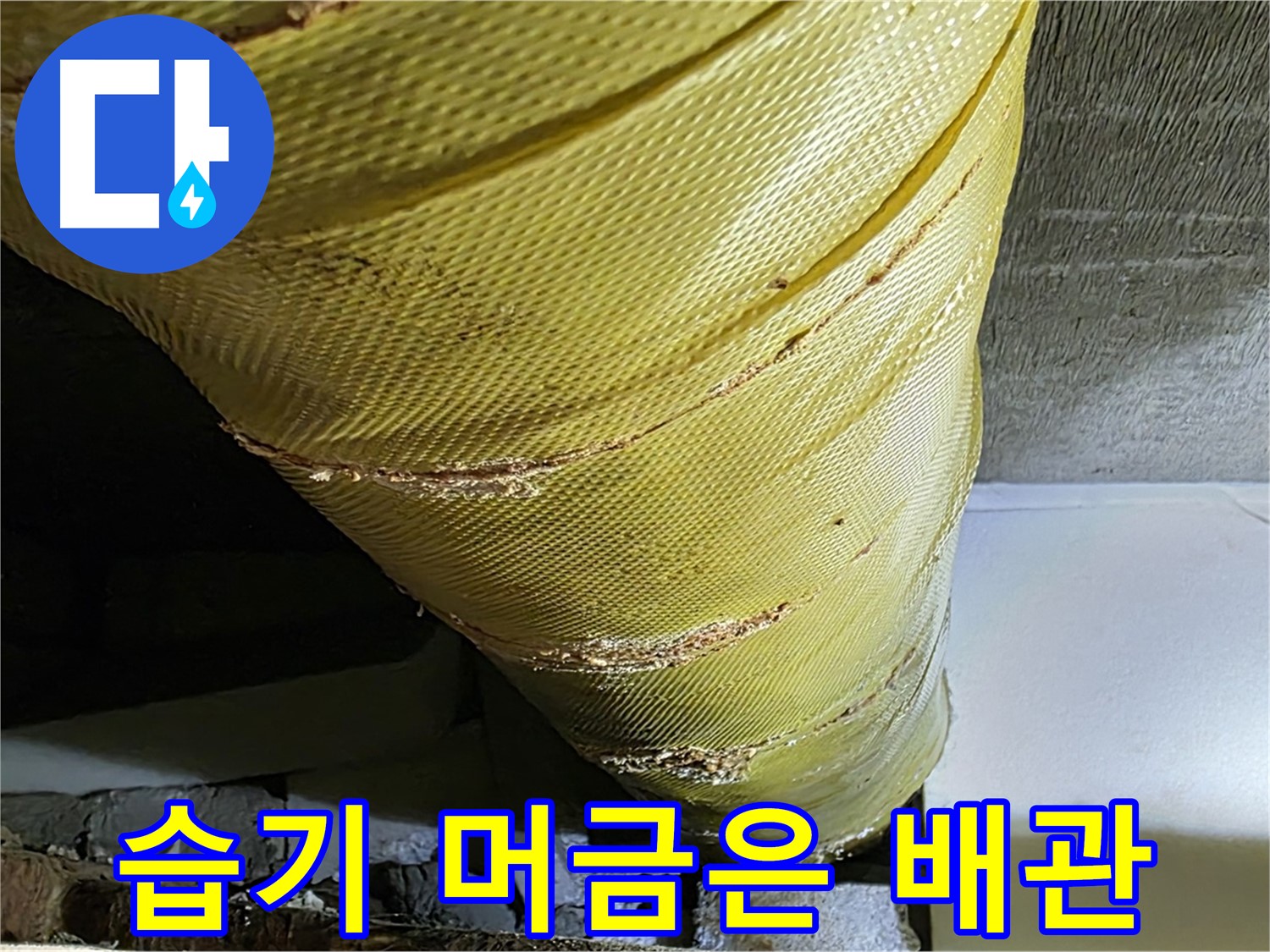습기 머금은 배관 - 낡은 덮개 - 곰팡이 서식 위험