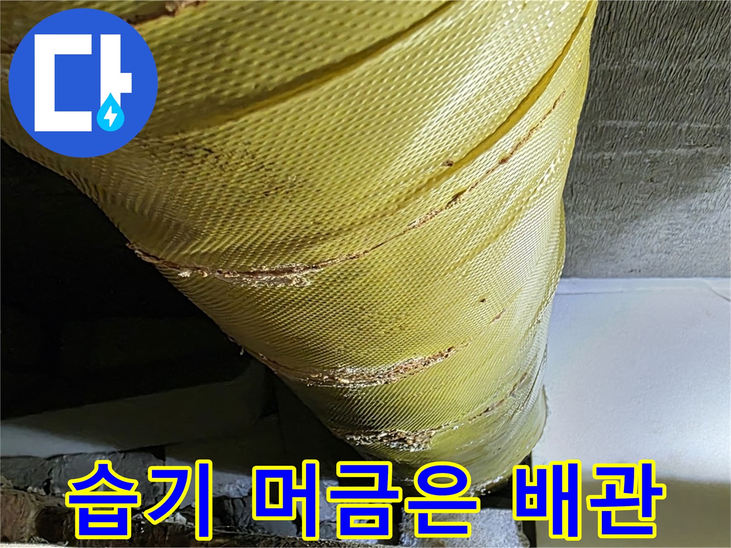 습기 머금은 배관 - 낡은 마감재 - 곰팡이 위험 증가