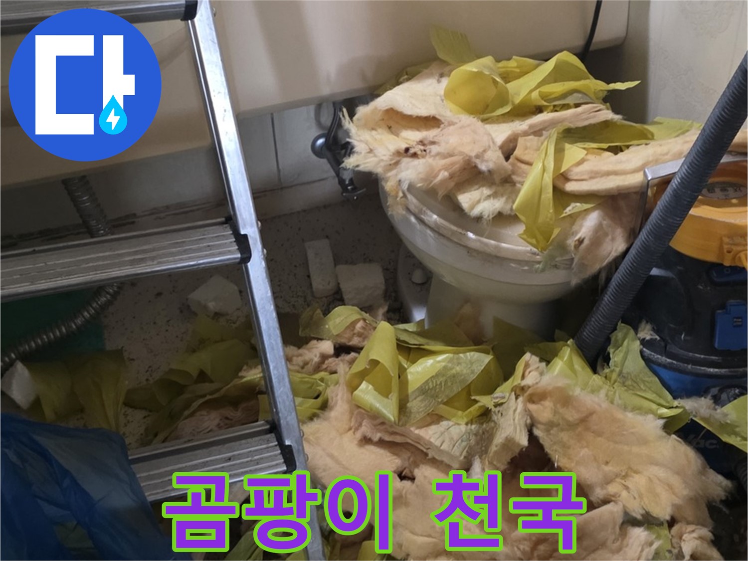 신사동 새절역 누수 - 곰팡이 천국, 곰팡이 냄새에 숨 막혀 - 건강 위협