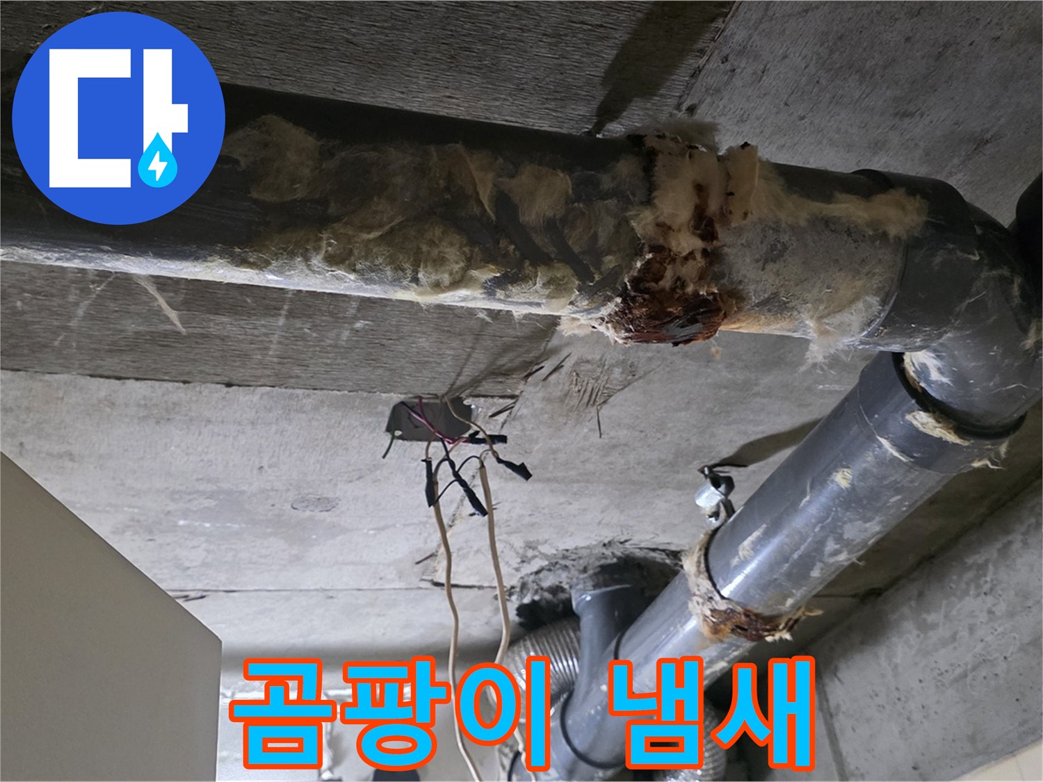 신사동 새절역현대아파트 누수 - 곰팡이 냄새 진동하는 낡은 오수 배관 보온재 - 냄새 제거가 중요
