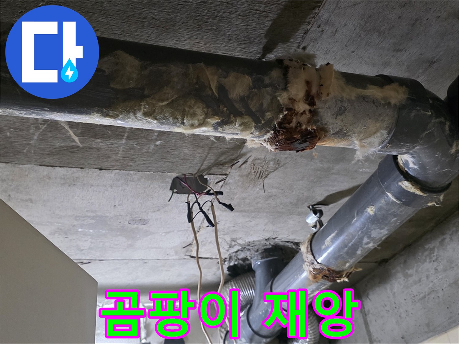 신사동 새절역현대아파트 누수 - 곰팡이와 함께 오수 배관 파손 긴급 수리