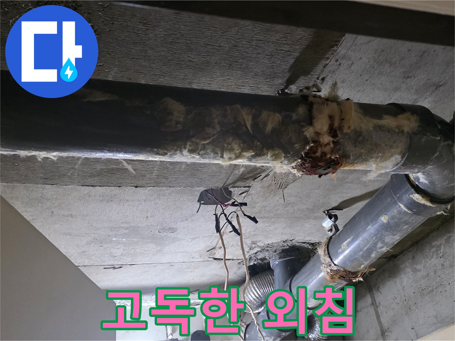 신사동/새절역 - 낡은 보온재 속에 숨겨진 배관의 고독한 외침, 이제 들어주세요