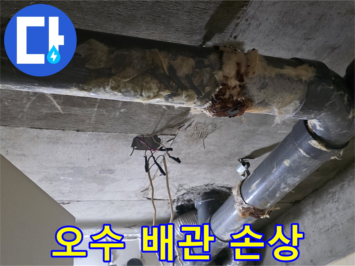 신사동 새절역 현대아파트 누수 - 오수 배관 손상으로 인한 누수