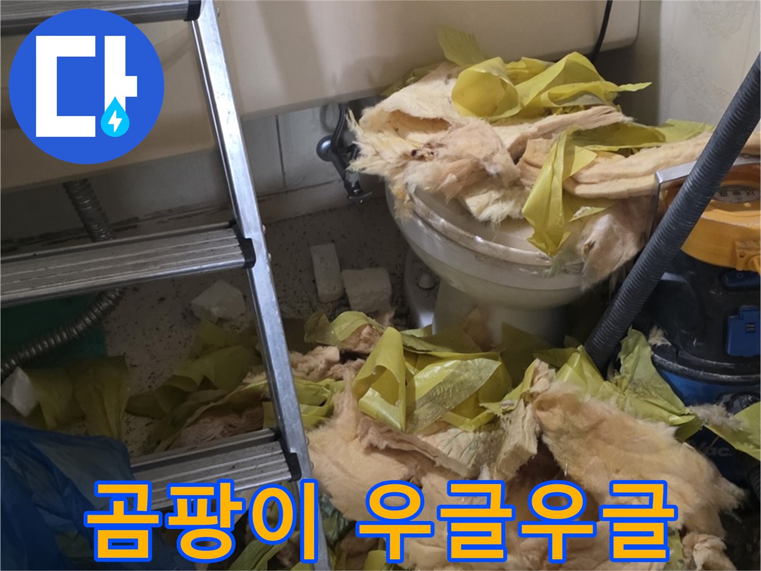 은평구 신사동 누수 - 새절역현대아파트 곰팡이 우글우글 - 건강 위협