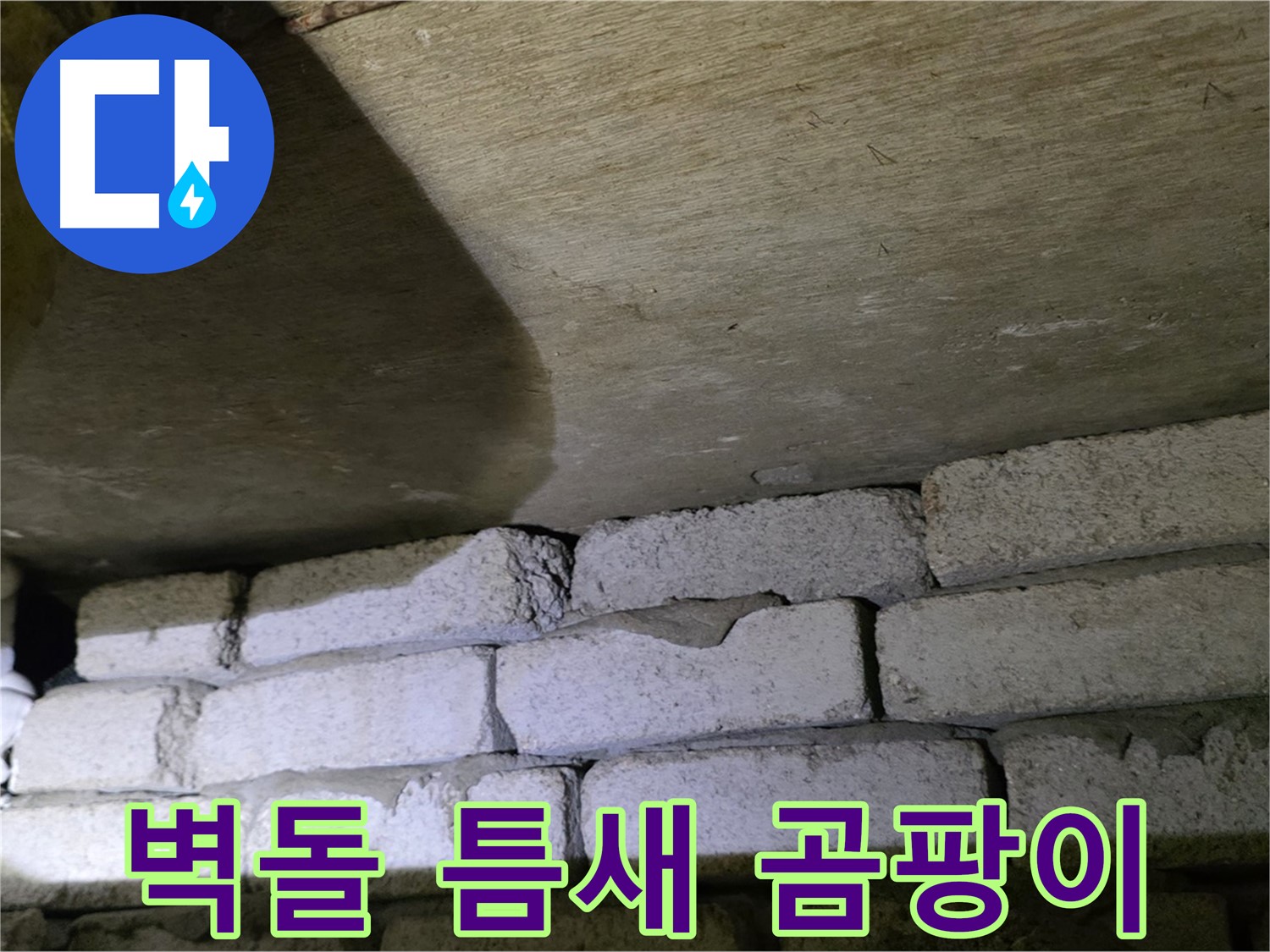 은평구 신사동 누수 - 새절역현대아파트 벽돌 벽 틈새 주변 곰팡이 포자 발견