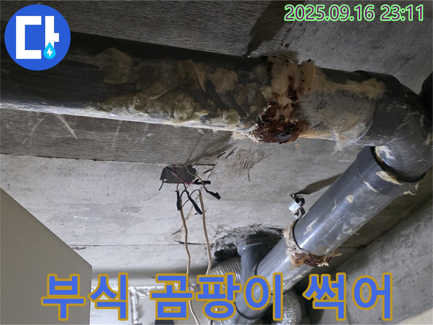 은평구 신사동 새절역 현대아파트 누수 - 부식된 배관은 곰팡이와 함께 썩어가는 현실을 보여줍니다.