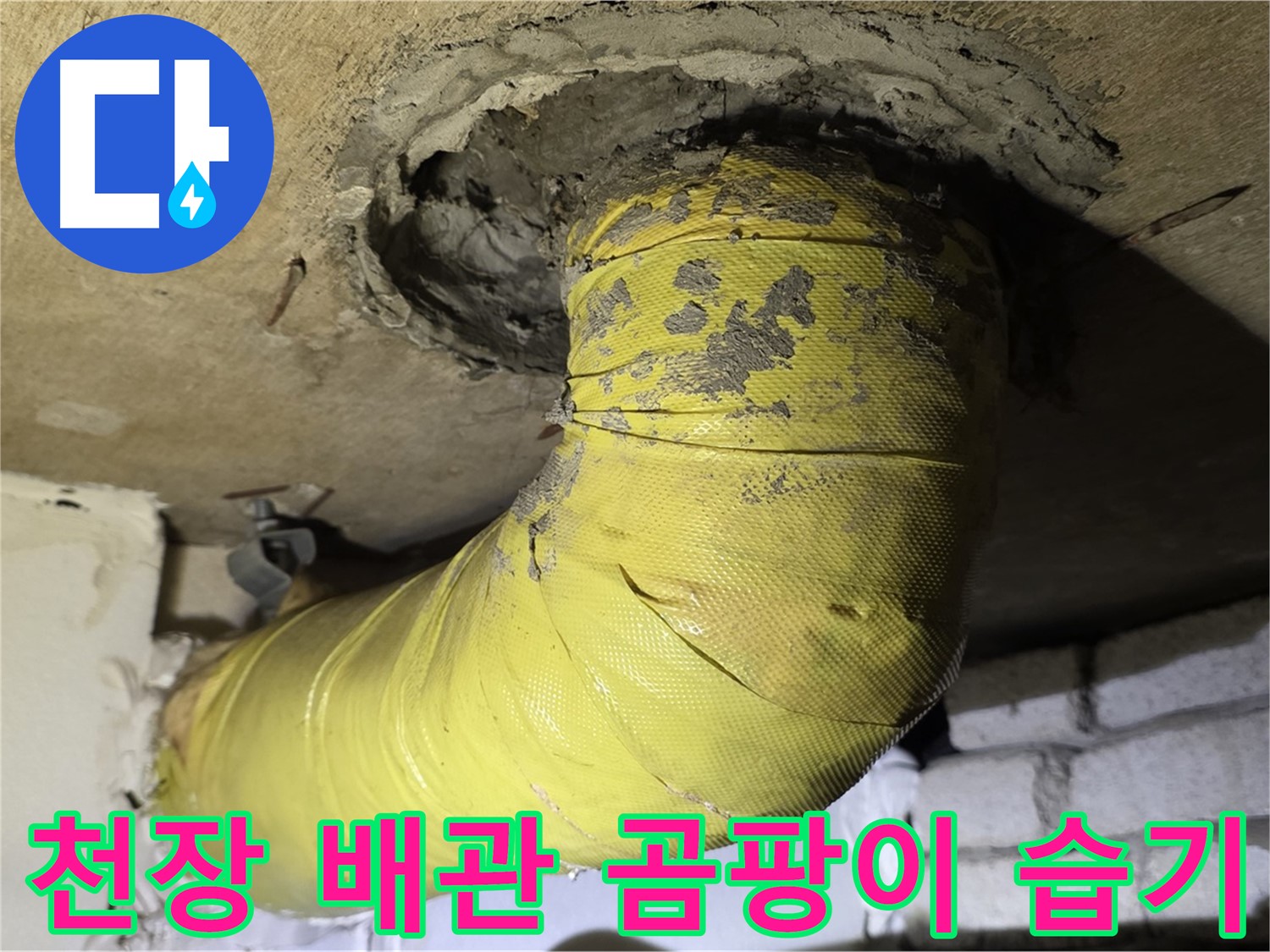 은평구 - 천장 배관 연결 부위 곰팡이 - 습기, 누수 가능성 높음